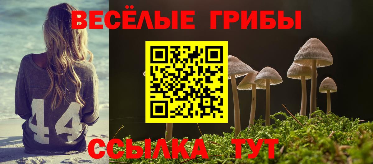 Галлюциногенные грибы GOLDEN TEACHER  Галлюциногенные грибы GOLDEN TEACHER  Иваново 