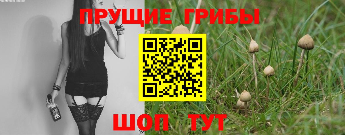 Галлюциногенные грибы ЛСД Иваново