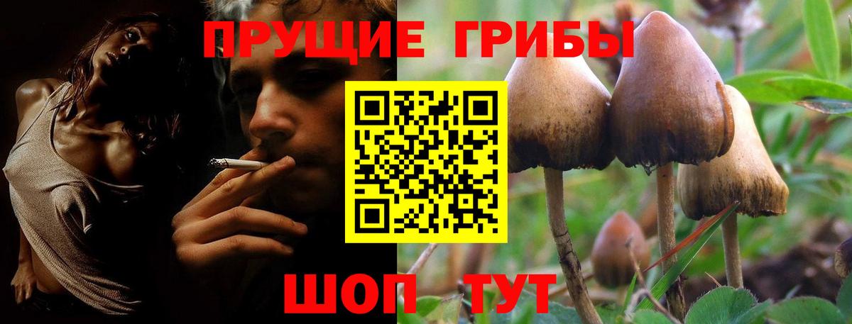 Иваново  Галлюциногенные грибы Psilocybe  Вход с VPN 